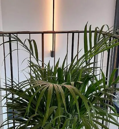 Fena City Slow Living Apartment شقة *
